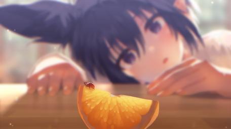 Curious Encounter with a Tiny Ladybug wallpaper