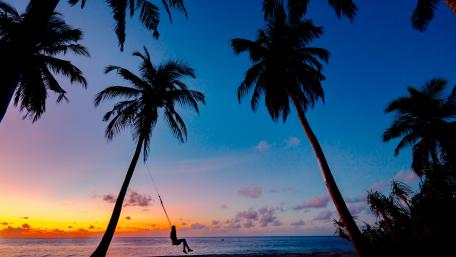 Swinging Into the Sunset Paradise wallpaper