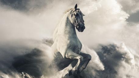 Ethereal Majesty in Motion wallpaper