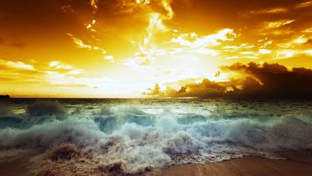 Golden Horizon Waves Embracing the Shore wallpaper