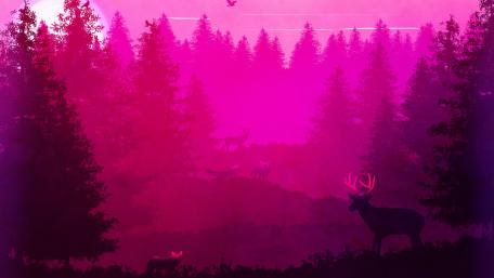Mystical Magenta Wilderness wallpaper