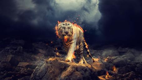 Flaming white tiger - Fantasy digital art wallpaper
