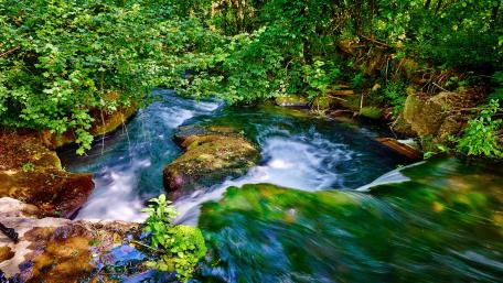 Lush Green Creek Flowing Through Rocks in Nature Scene wallpaper