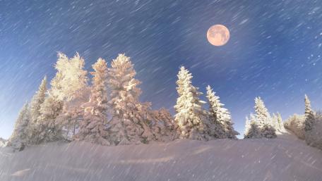 Winter Wonderland Under a Starry Night Sky wallpaper