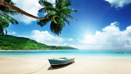 Turquoise Waters and Palm Beach Scene wallpaper