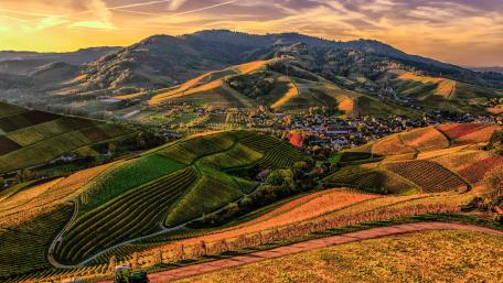 Rolling Hills of the Countryside wallpaper