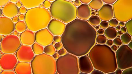 Oil wallpaper