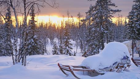 Snowy sleigh wallpaper