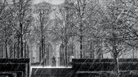 Urban Serenity in Rainy Monochrome wallpaper