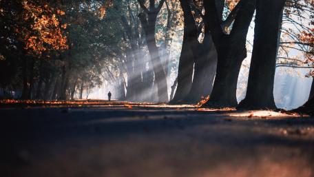 Autumn in Poznan wallpaper