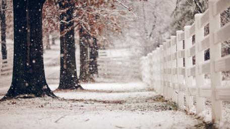 Charming Winter Lane Scene with Snow Falling wallpaper