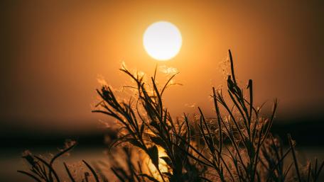 Golden Sunset Over Tranquil Lake Silence wallpaper