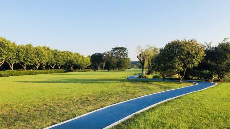 Park wallpaper