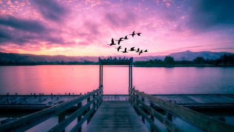 Serene Dusk Over the Lake with Geese Silhouettes wallpaper