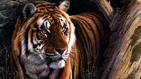 Majestic Tiger Canvas in 4K wallpaper