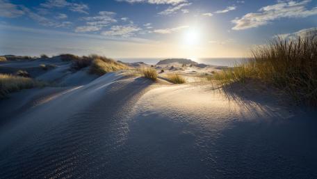 Beach wallpaper