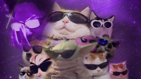Galactic Cats in Shades wallpaper