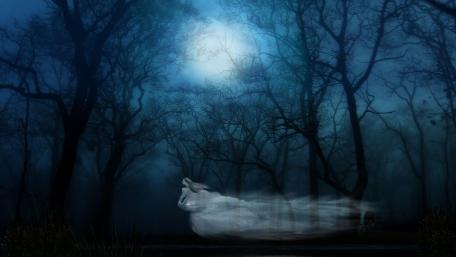Ghostly forest wallpaper