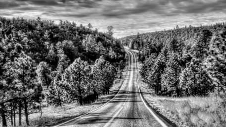 Winding Road Through Monochrome Forest Scene wallpaper