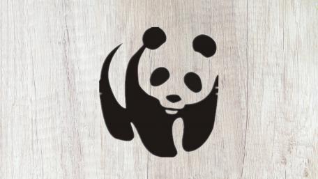 Panda Symbol of Conservation wallpaper
