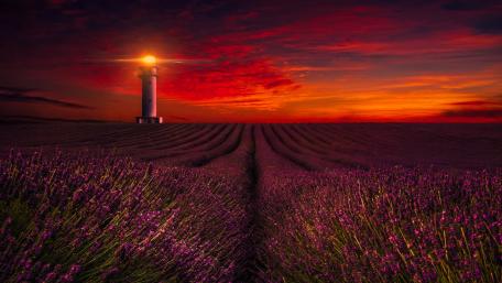 Beacon in Lavender Twilight wallpaper