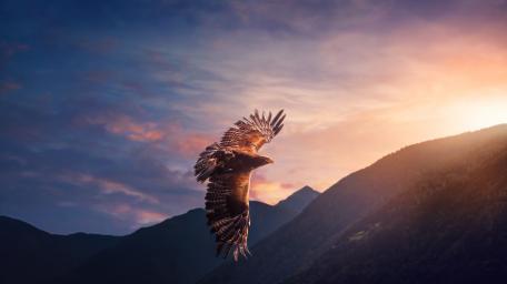 In the skies wallpaper