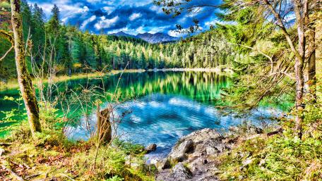 Tranquil Lake Reflection Amidst Forest wallpaper