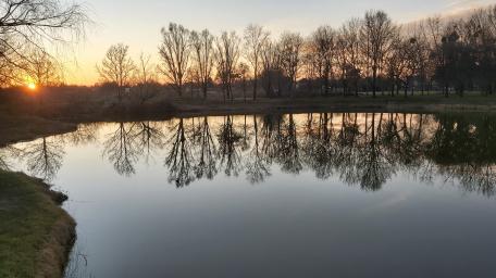 Lake wallpaper