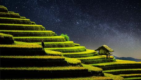 A beautiful stary sky in a beautiful nature night wallpaper