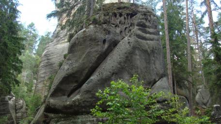 Majestic Monoliths Surrounded by Forest Beauty wallpaper
