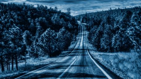 Serene Blue Road Through Forest wallpaper