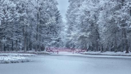 Winter's Tranquil Passage wallpaper