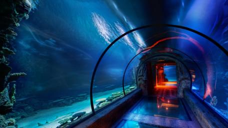Aqua Tunnel wallpaper