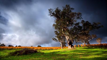Stormy landscape wallpaper