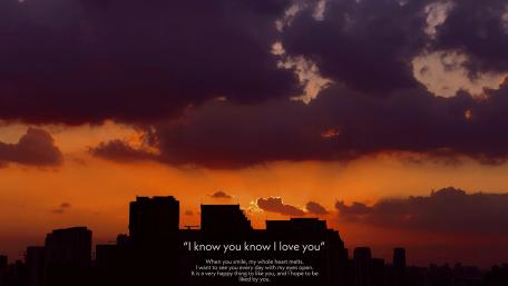 Whispers of Love Amidst the City Sunset wallpaper