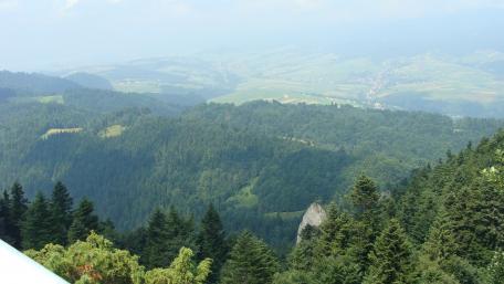 Majestic Mountain Forest Landscape View wallpaper