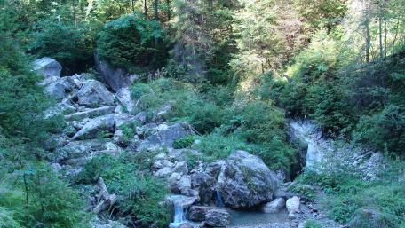 Tranquil Mountain River Landscape wallpaper