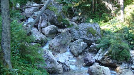 Tranquil Flow of Mountain River Waterscape wallpaper