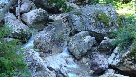 Serenity of the Mountain Riverbed wallpaper
