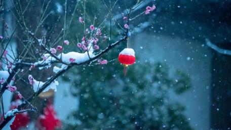 Jinling snow scene wallpaper