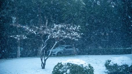 Snow falling landscape wallpaper