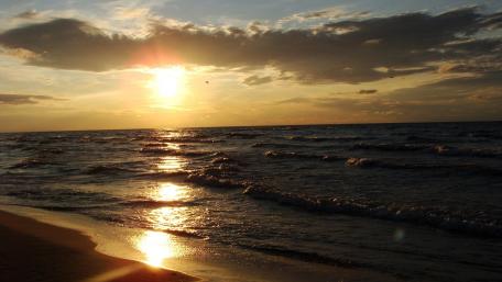Golden Horizons at the Beach wallpaper