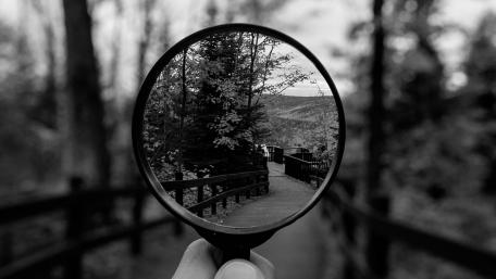 Nature Magnified in Monochrome wallpaper