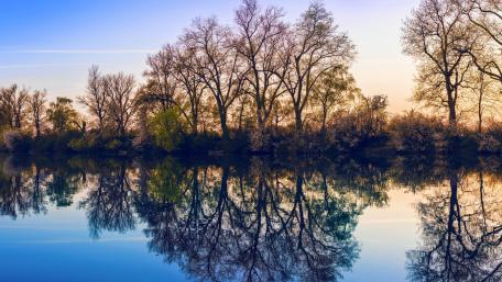 Serene Reflections of Nature's Beauty wallpaper