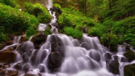 Serene Waterfall Amidst Lush Greenery wallpaper