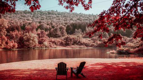 Tranquil Lakeside Morning Retreat wallpaper