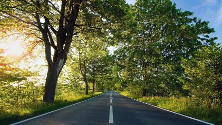 Peaceful Spring Road Under Sunlight wallpaper