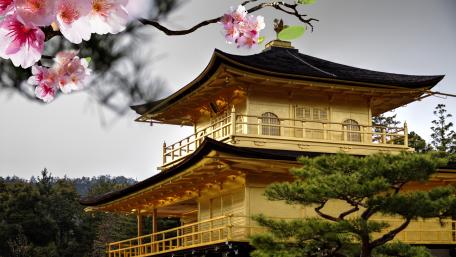 Golden Pavilion wallpaper