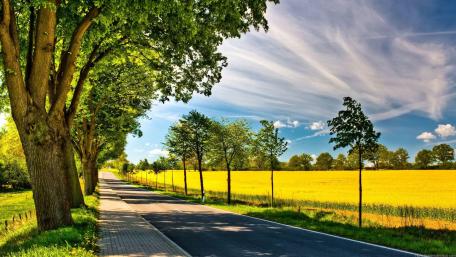 side road wallpaper