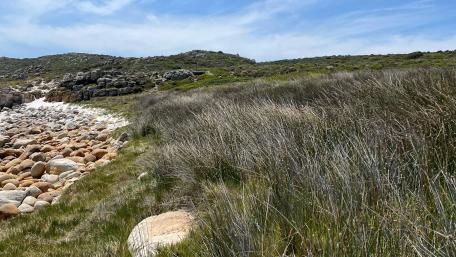Cape good hope national park wallpaper